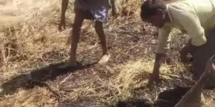 खलिहान में ट्रैक्टर-ट्राली पर रखी थी सरसों की फसल, में आग लगने से हजारो का नुकसान।