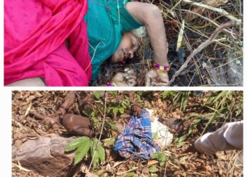चिरूई के जंगल मे मृत अवस्था मे मिले दो शव,शिनाख्त जारी।