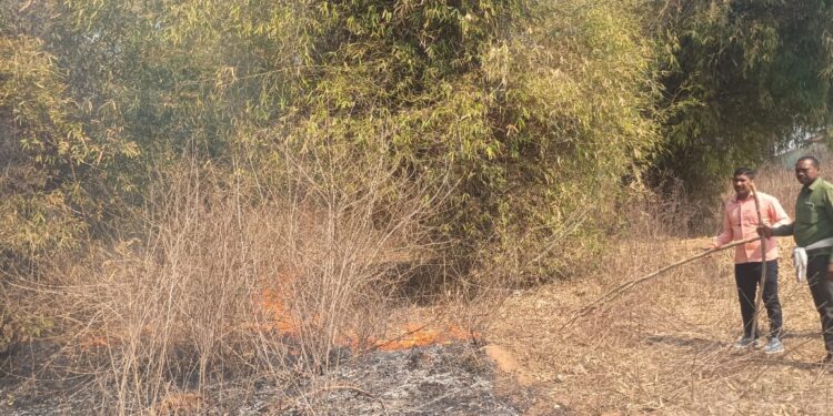 अज्ञात कारणों से किसान के प्लांटेशन में लगा आग।।