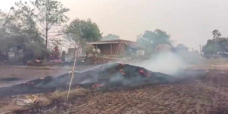तेज आधी से रानीतारा गांव में लगी आग समान जलकर खाक।