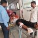 तेज रफ्तार टीपर के टक्कर से बाइक एक कि मौत, दो घायल।
