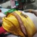 बाईक से गिरने से महिला की मौत।