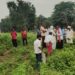 अराजक तत्वों द्वारा धान के खेत मे केमिकल डालने से फसल हुआ नष्ट।