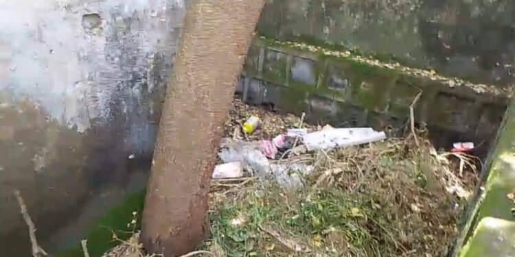 विद्यालय के मिड डे मील में कीड़े युक्त आटा, चावल देख ग्रामीणों में आक्रोश।