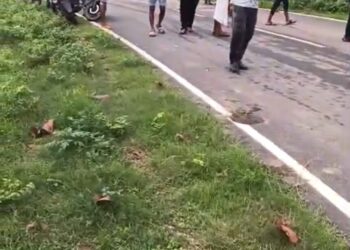 सोनभद्र। बाइक पर सवार तीन लोग, नाले के तेज बहाव में बहे।