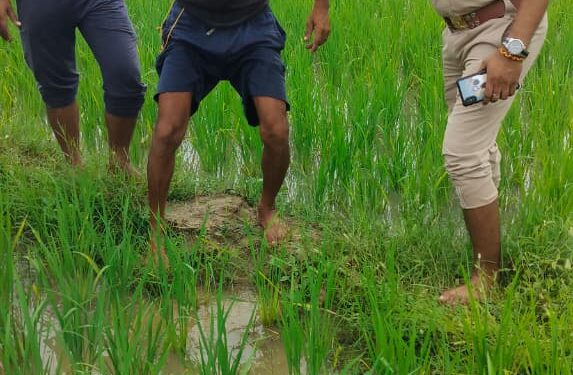 पारिवारिक विवाद के चलते युवक ने किया हाइटेंशन लाइन के खंभे पर चढ़ने का प्रयास, बाल-बाल बचा जान।