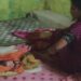 स्वास्थ्य विभाग की बड़ी लापरवाही, महिला ने सड़क पर दिया बच्चे को जन्म ।।
