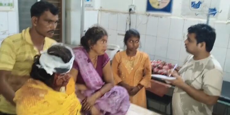 तेज रफ्तार पिकअप अनियंत्रित होकर पलटने से कई घायल।