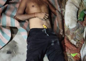 घरेलू विवाद में पुत्र ने पिता पर किया जानलेवा हमला, इलाज के दौरान मौत।