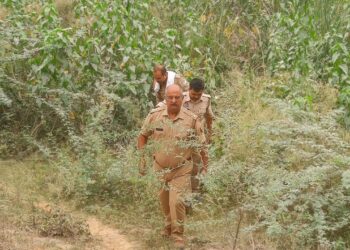 नगर के कोलंबस्ती के कौआ नाला के झाड़ियों में मिला मानव कंकाल।