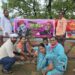 अखिलेश यादव के जन्मोत्सव पर  छठवें दिन भी वृक्षारोपण किया गया।