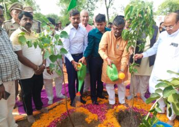 मंडलायुक्त ने किया पौध रोपण महा अभियान की शुरूआत।