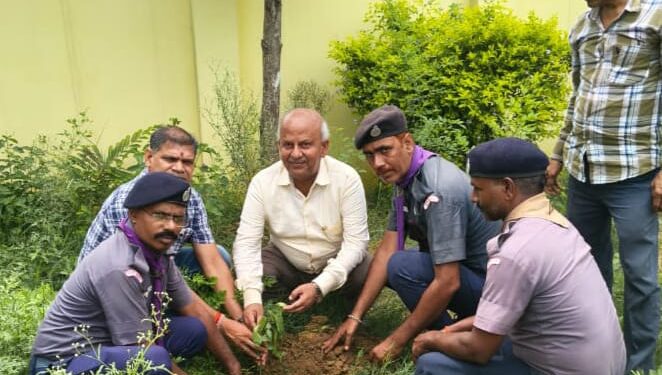 हरित भविष्य की ओर बढ़ा सोनभद्र, स्काउट-गाइड ने जगाई पर्यावरण संरक्षण की अलख।