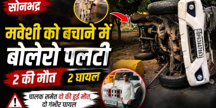 मवेशी को बचाने के प्रयास में बोलेरो पलटी, चालक समेत दो की मौत, दो गंभीर घायल।