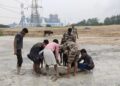राखड़ के दलदल में फंसी गाय, ग्रामीणों और CISF जवानों ने 4 घंटे की मशक्कत के बाद बचाई जान ।