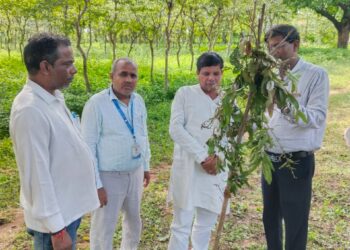 वैज्ञानिक तकनीक से तसर रेशम उत्पादन बढ़ाने पर दिया जोर।
