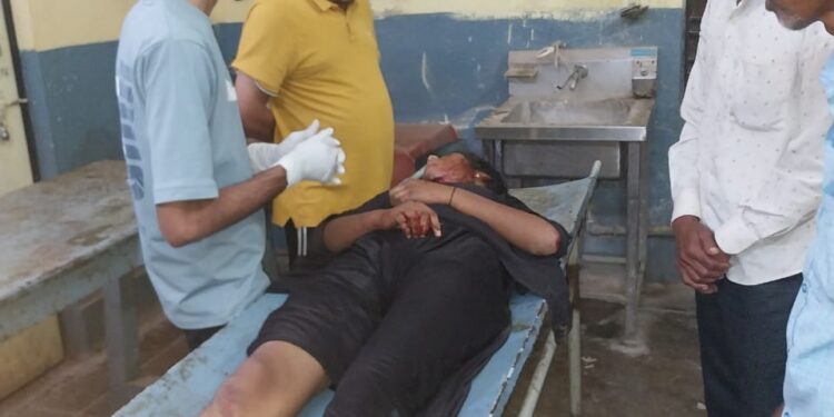 रेलवे पुल पार करते समय ट्रेन की चपेट में आई किशोरी, इलाज के दौरान मौत।
