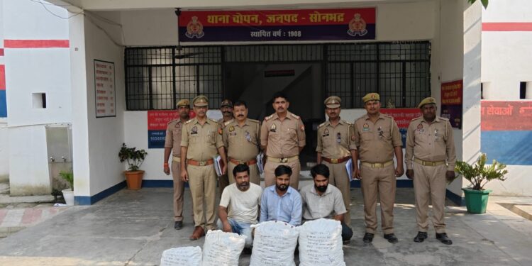 चोपन पुलिस की कार्रवाई, 52 किलो 745 ग्राम गांजा के साथ तीन गिरफ्तार।
